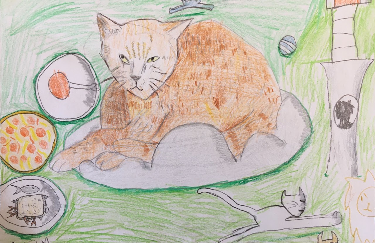 Ages 10+ artwork