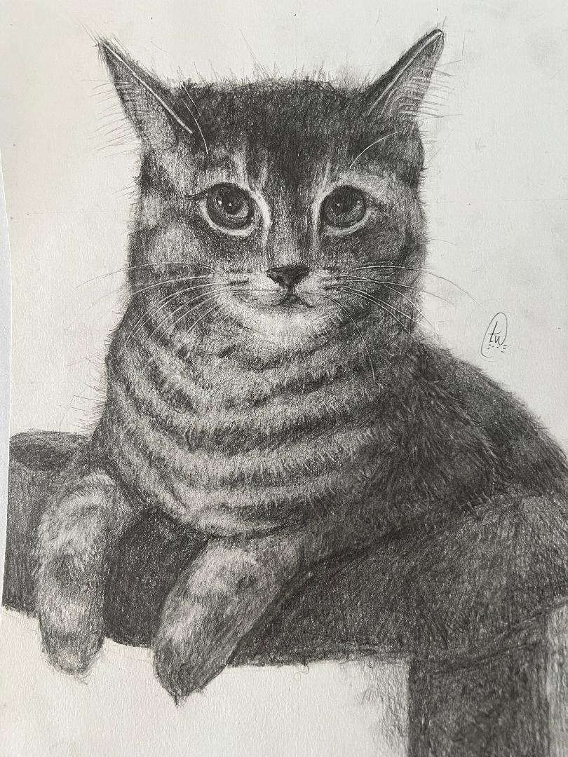 Ages 10+ artwork